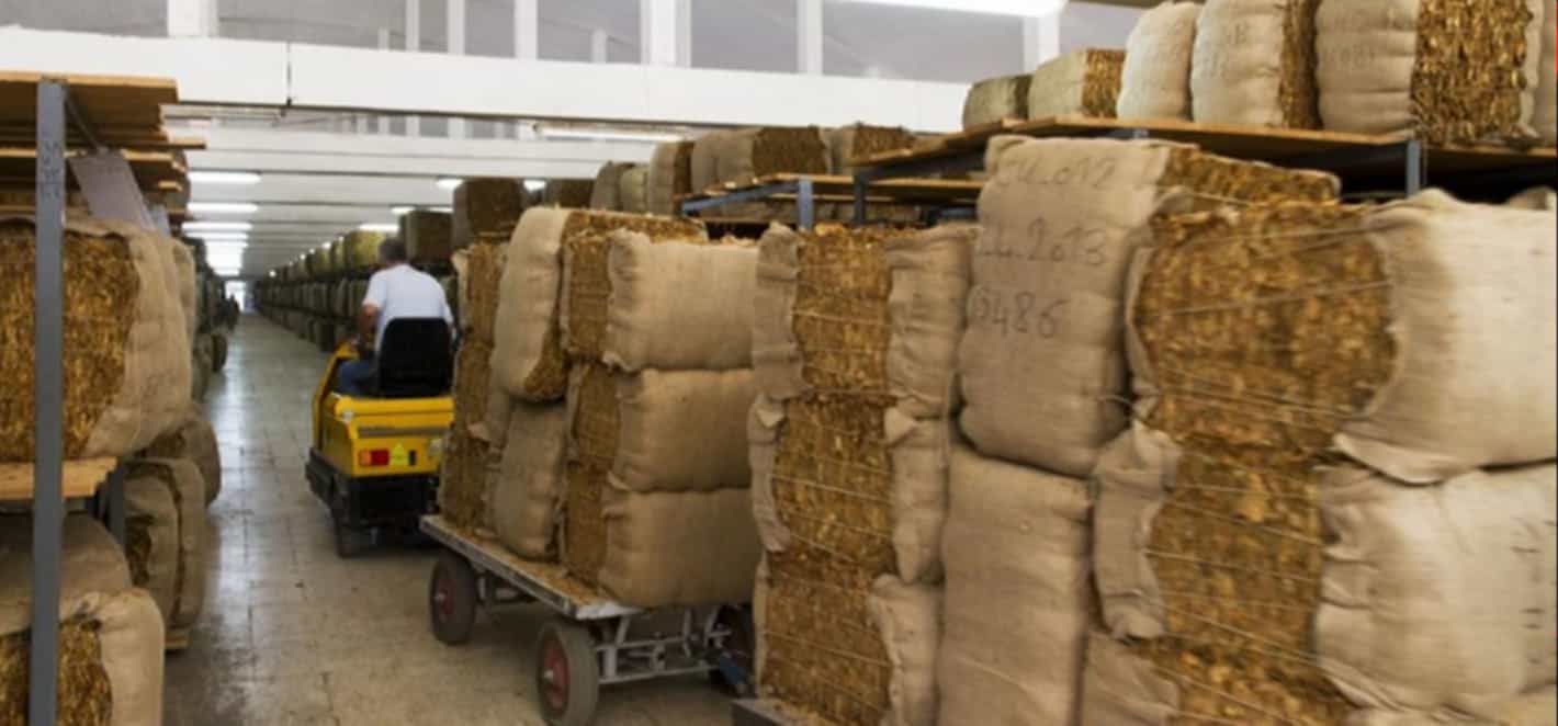 Stacks of tobacco bales at an export warehouse
